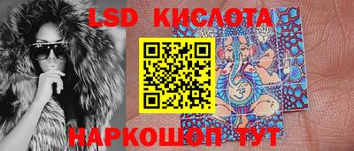 дмт Будённовск