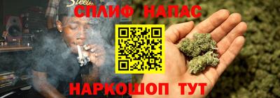 дмт Будённовск