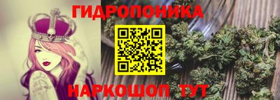дмт Будённовск