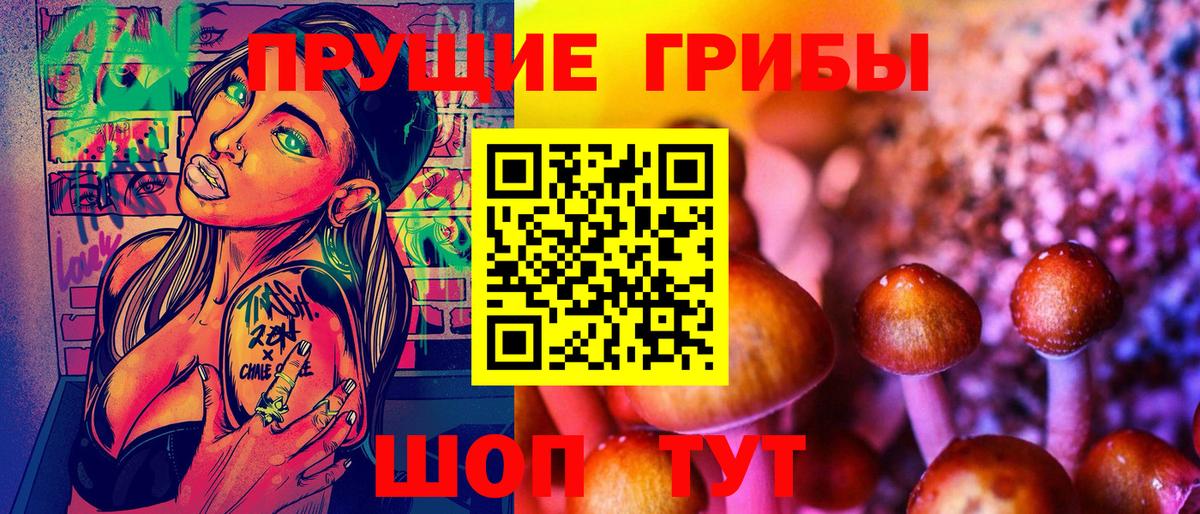 Псилоцибиновые грибы мухоморы Новокуйбышевск