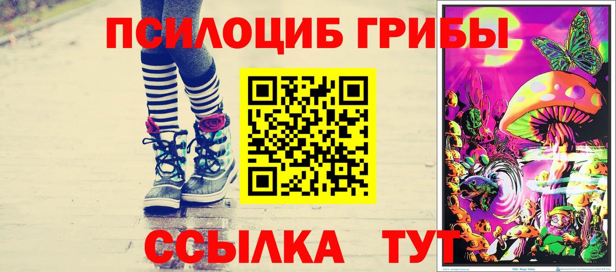 сколько стоит  Вход с VPN  Новокуйбышевск  Псилоцибиновые грибы прущие грибы 